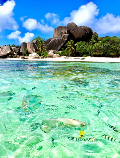 Seychelles-Seychelles